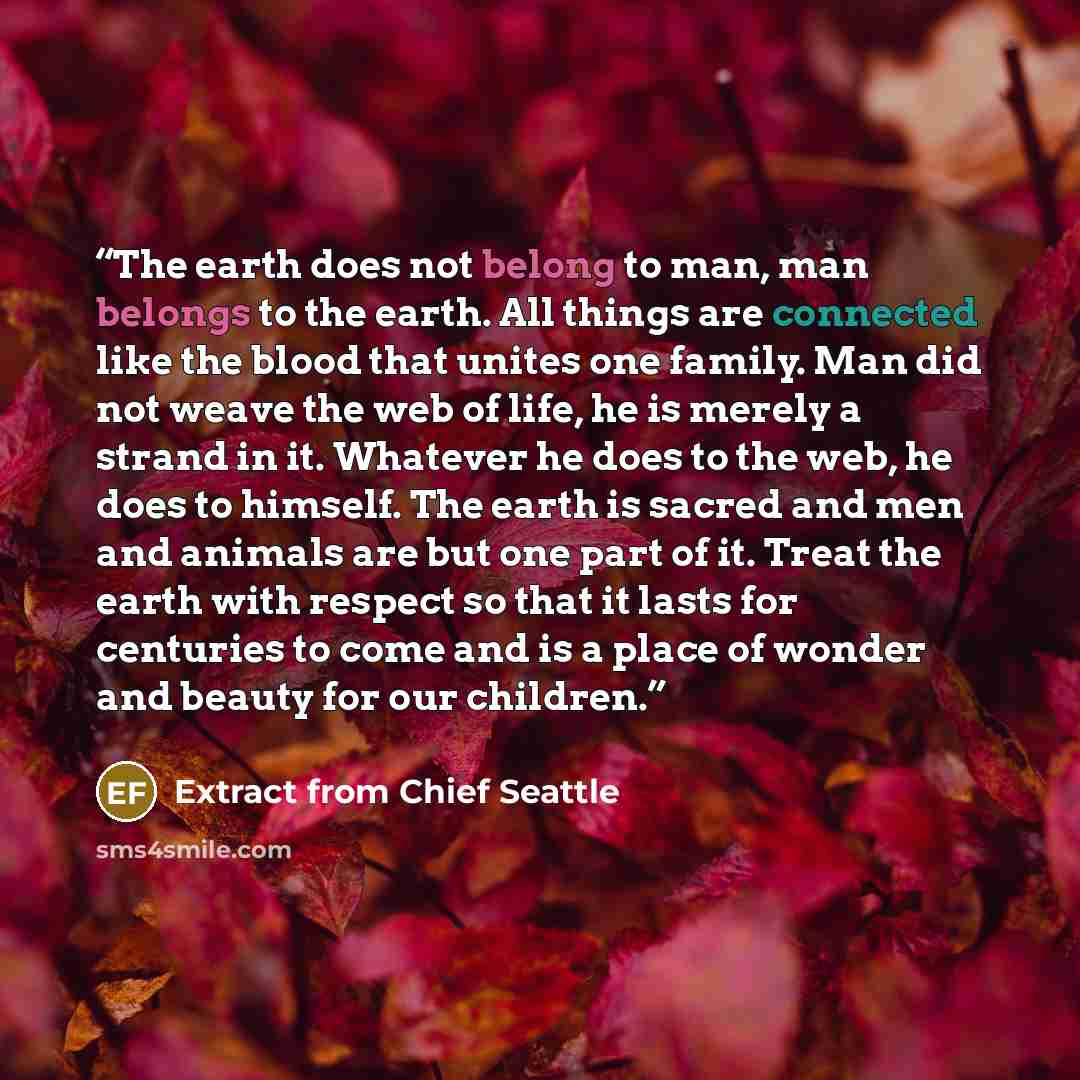 “The earth does not belong to man, man belongs to the earth. All things are connected like the blood that unites one family. Man did not weave the web of life, he is merely a strand in it. Whatever he does to the web, he does to himself. The earth is sacred and men and animals are but one part of…” quote by Extract from Chief Seattle