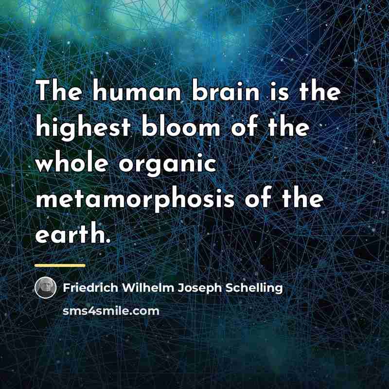 “The human brain is the highest bloom of the whole…” quote by Friedrich Wilhelm Joseph Schelling