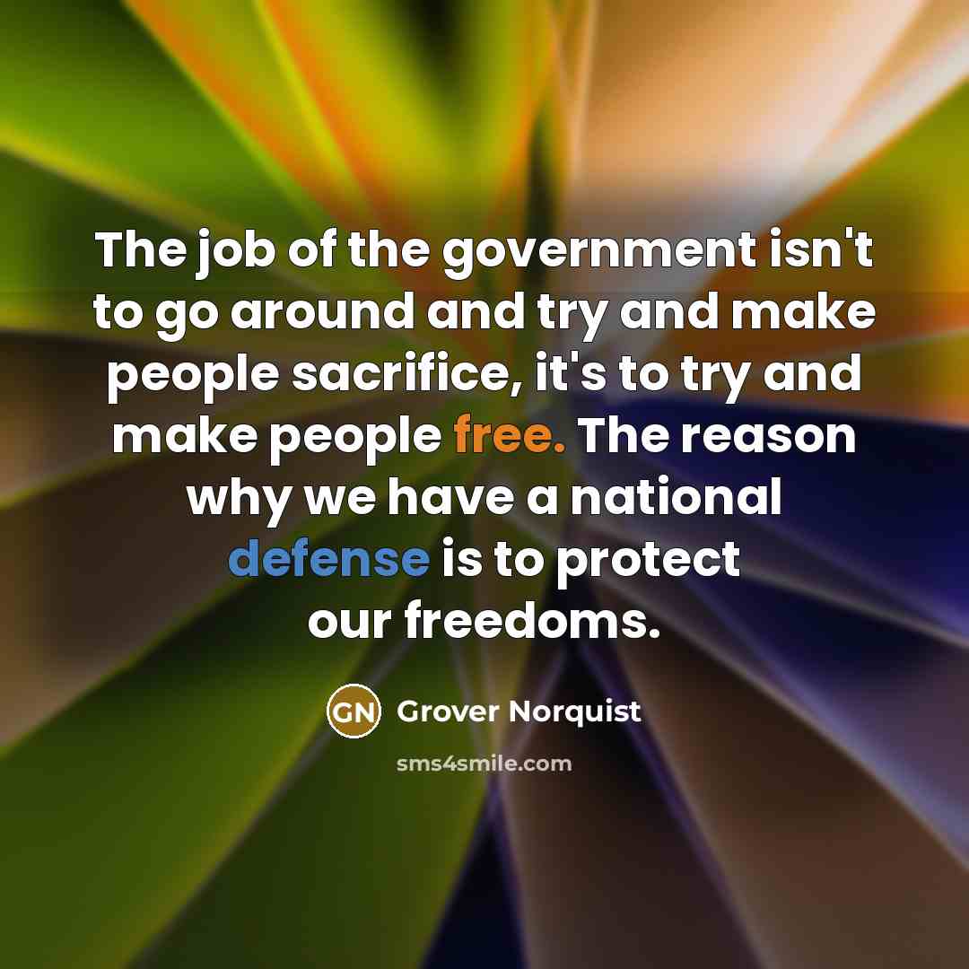 “The job of the government isn't to go around and…” quote by Grover Norquist