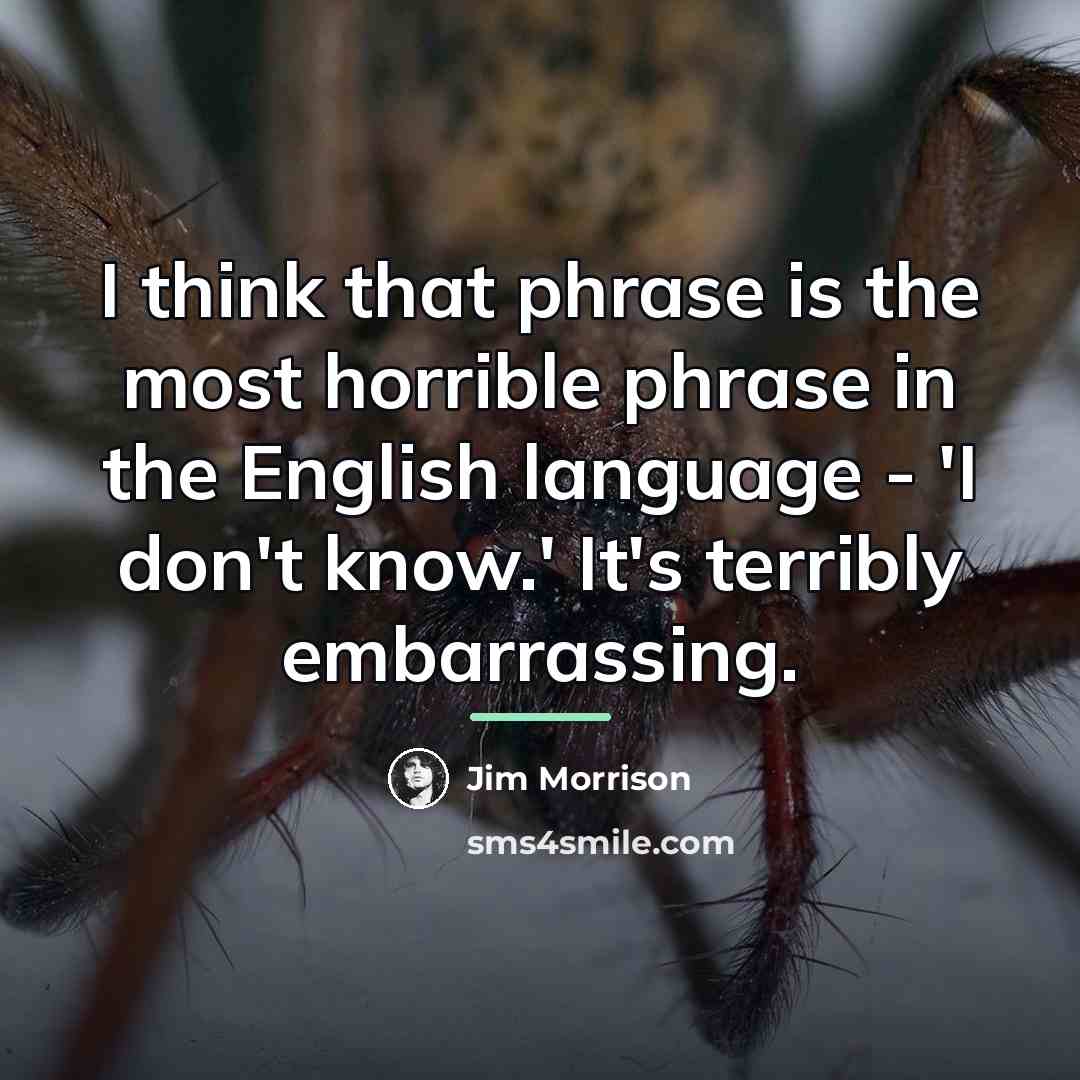 “I think that phrase is the most horrible phrase in…” quote by Jim Morrison