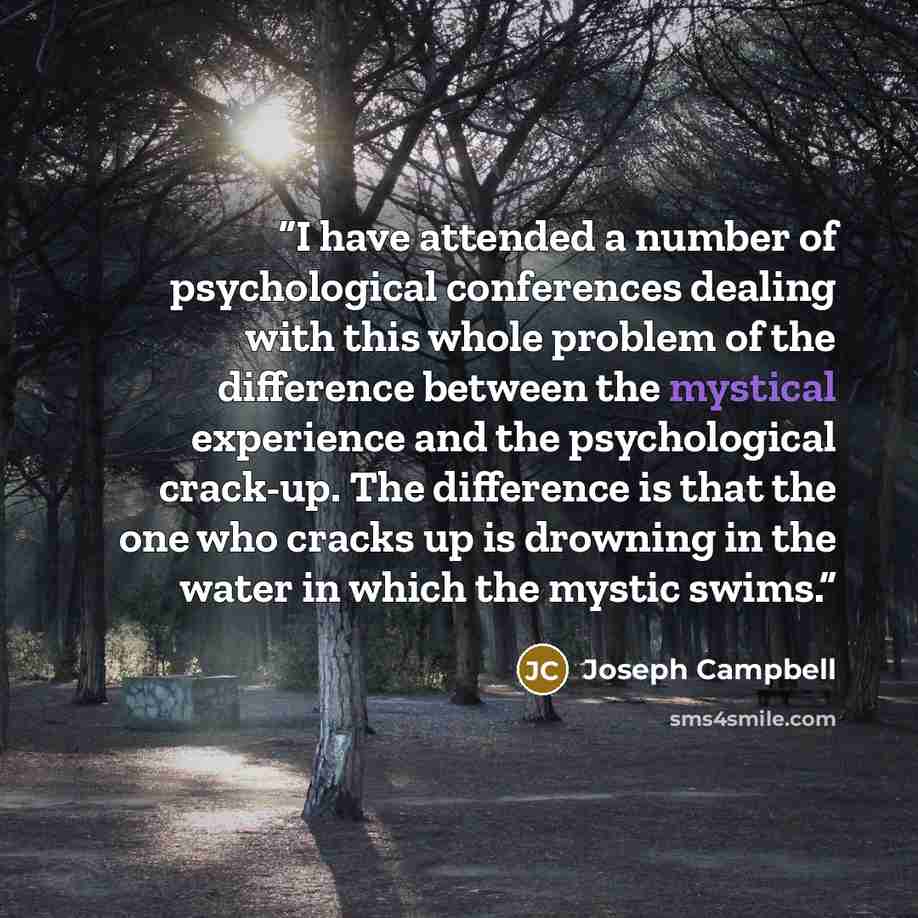 “I have attended a number of psychological conferences dealing with this whole problem of the difference between the mystical experience and the psychological crack-up. The difference is that the one who cracks up is drowning in the water in which the mystic swims.” quote by Joseph Campbell