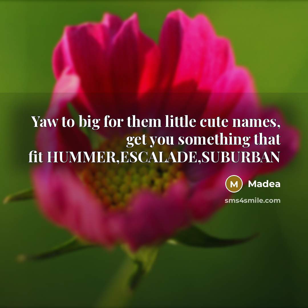 “Yaw to big for them little cute names, get you…” quote by Madea