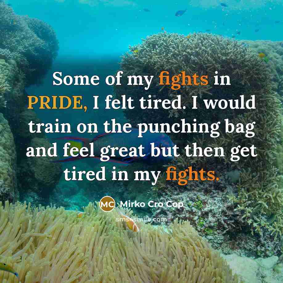 “Some of my fights in PRIDE, I felt tired. I…” quote by Mirko Cro Cop