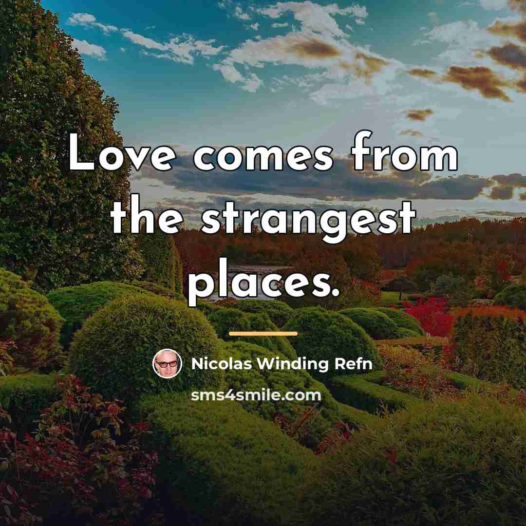 “Love comes from the strangest places.…” quote by Nicolas Winding Refn