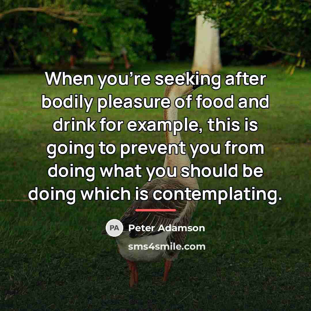 “When you're seeking after bodily pleasure of food and drink…” quote by Peter Adamson