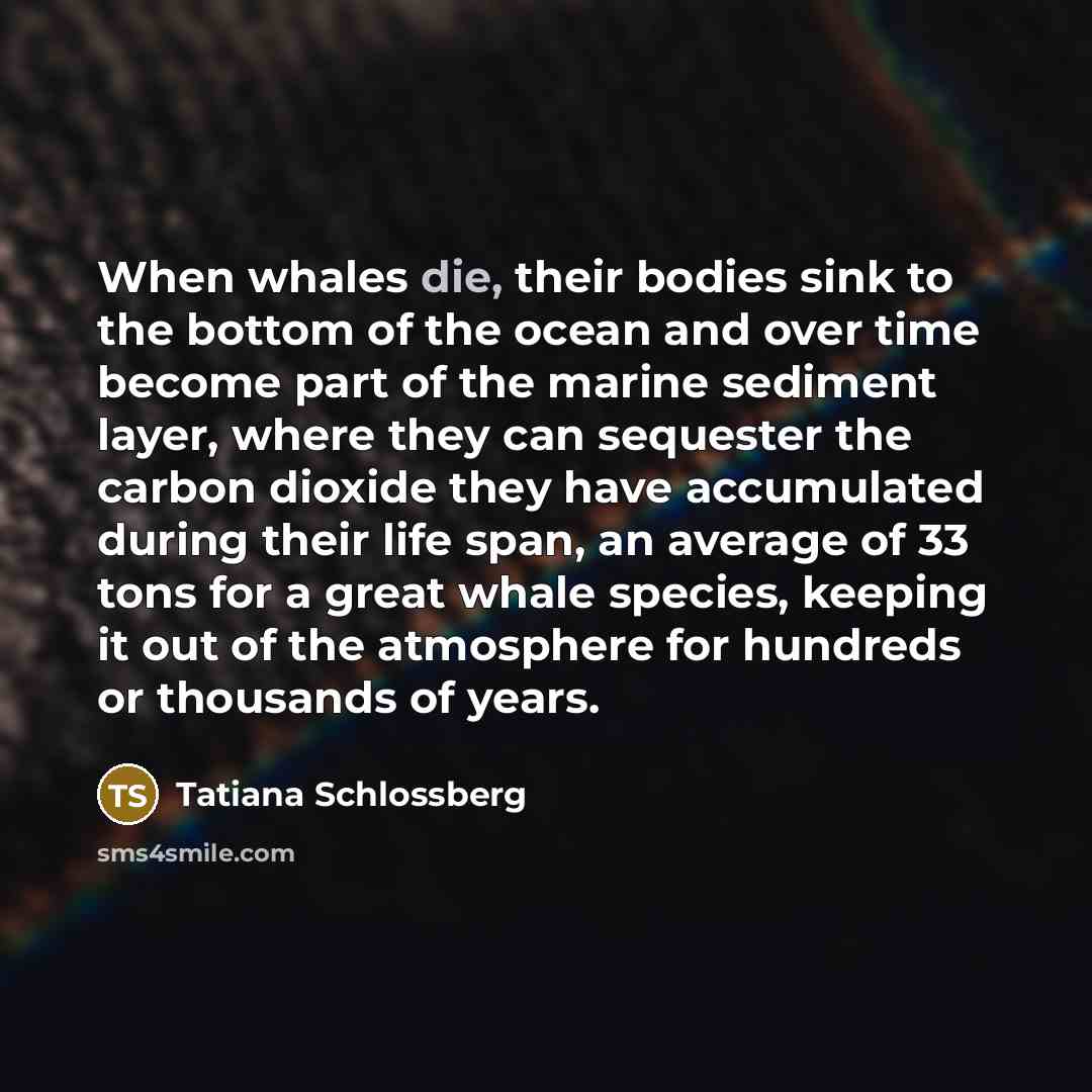 “When whales die, their bodies sink to the bottom of…” quote by Tatiana Schlossberg