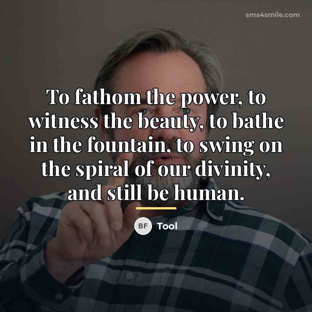 “To fathom the power, to witness the beauty, to bathe…” quote by Tool