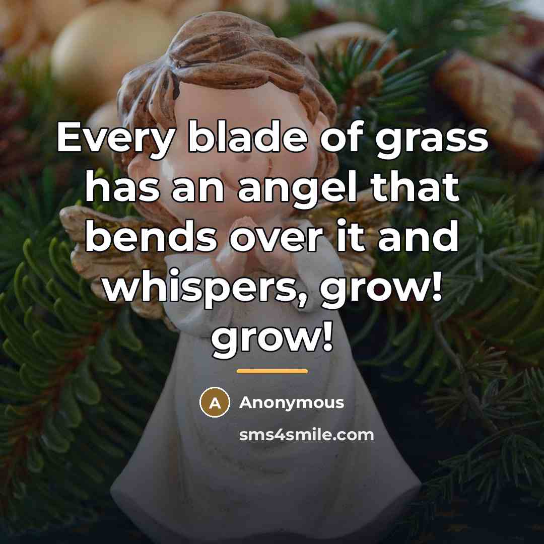 “Every blade of grass has an angel that bends over…” quote by Anonymous