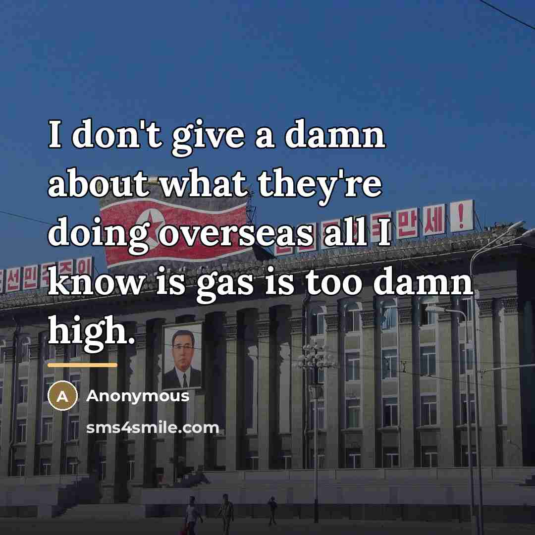 “I don't give a damn about what they're doing overseas…” quote by Anonymous