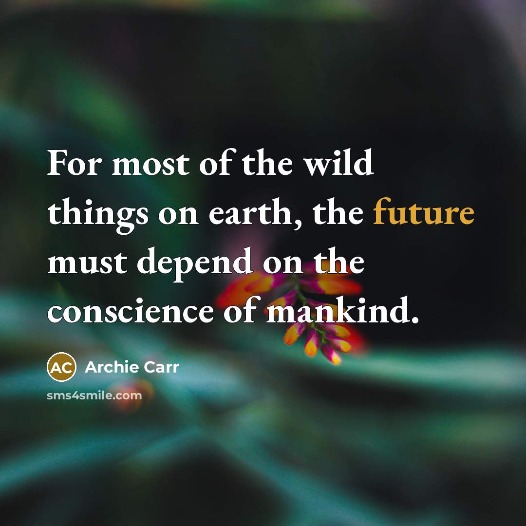 “For most of the wild things on earth, the future…” quote by Archie Carr