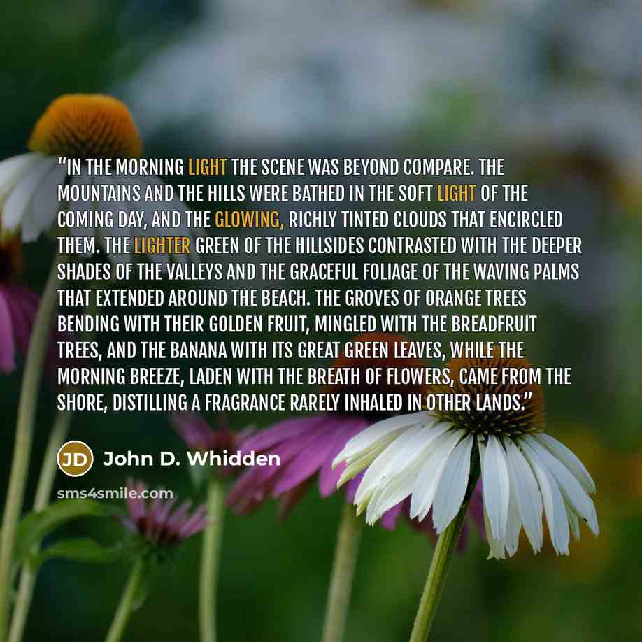 “In the morning light the scene was beyond compare. The mountains and the hills were bathed in the soft light of the coming day, and the glowing, richly tinted clouds that encircled them. The lighter green of the hillsides contrasted with the deeper shades of the valleys and the graceful foliage of…” quote by John D. Whidden