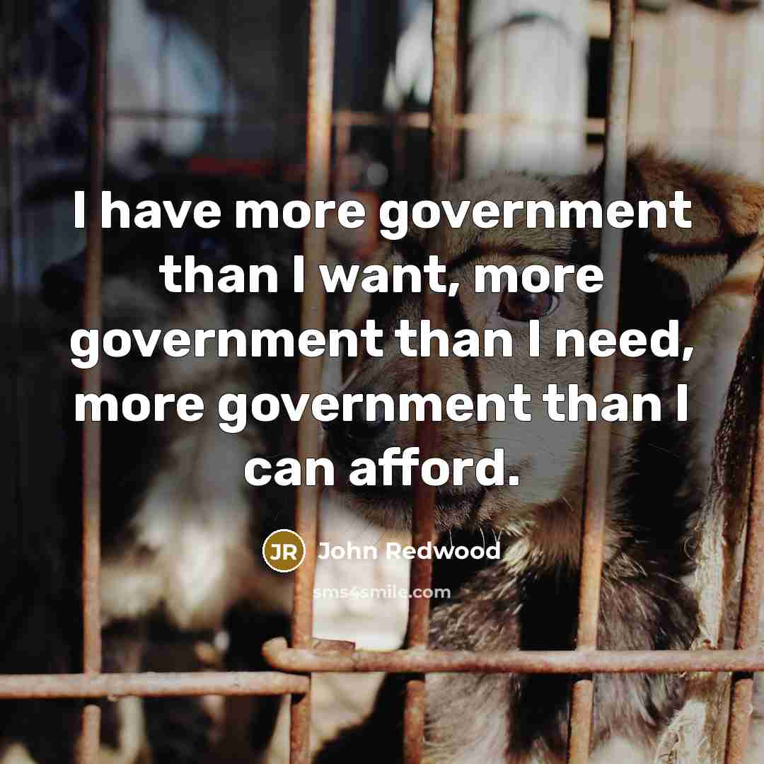 “I have more government than I want, more government than…” quote by John Redwood