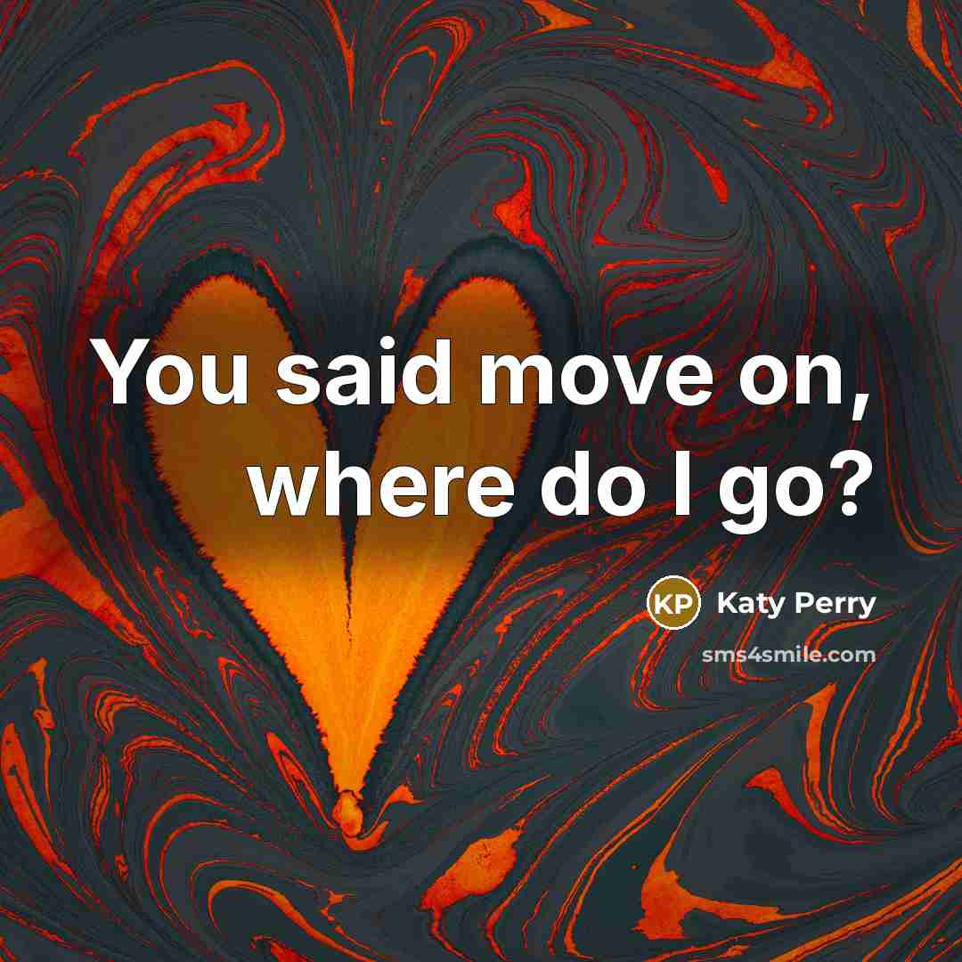 “You said move on, where do I go?…” quote by Katy Perry