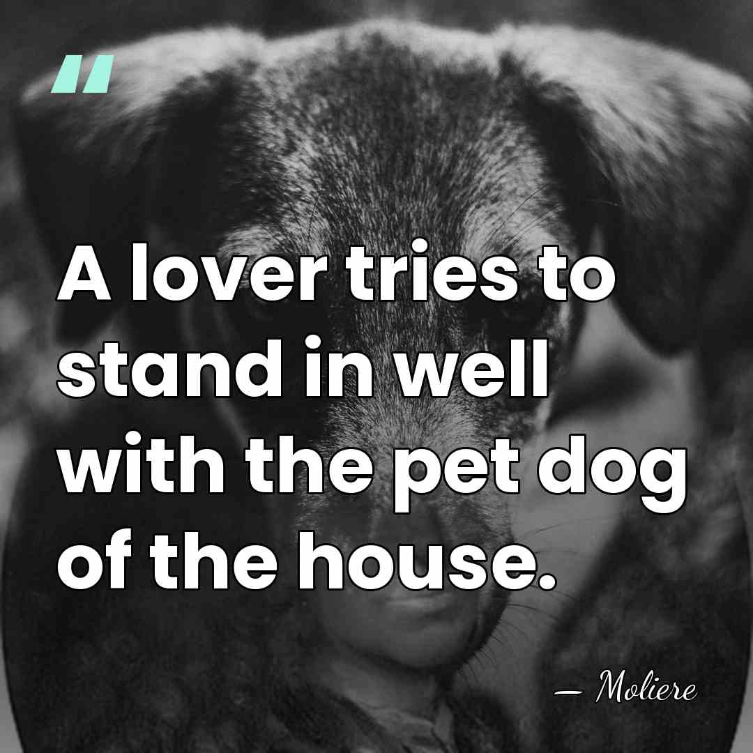 A lover tries to stand in well with the pet dog of&hellip; - Moliere