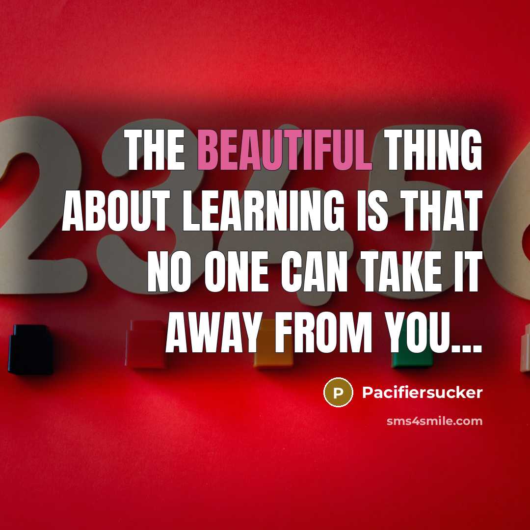 “The Beautiful Thing About Learning Is That No One Can Take It Away From You...” quote by Pacifiersucker