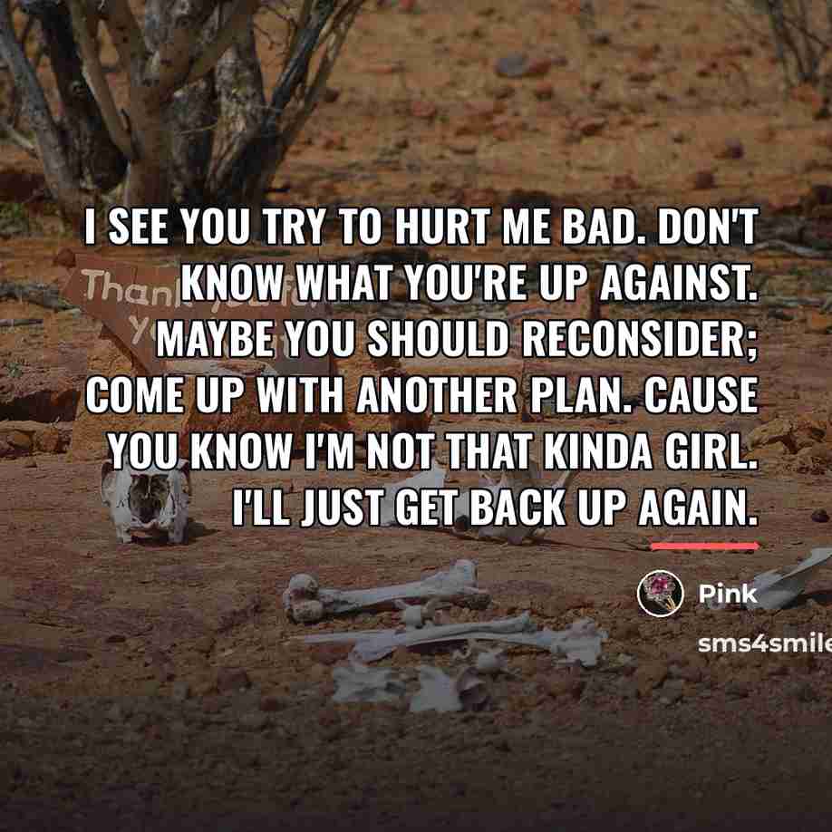“I see you try to hurt me bad. Don't know…” quote by Pink