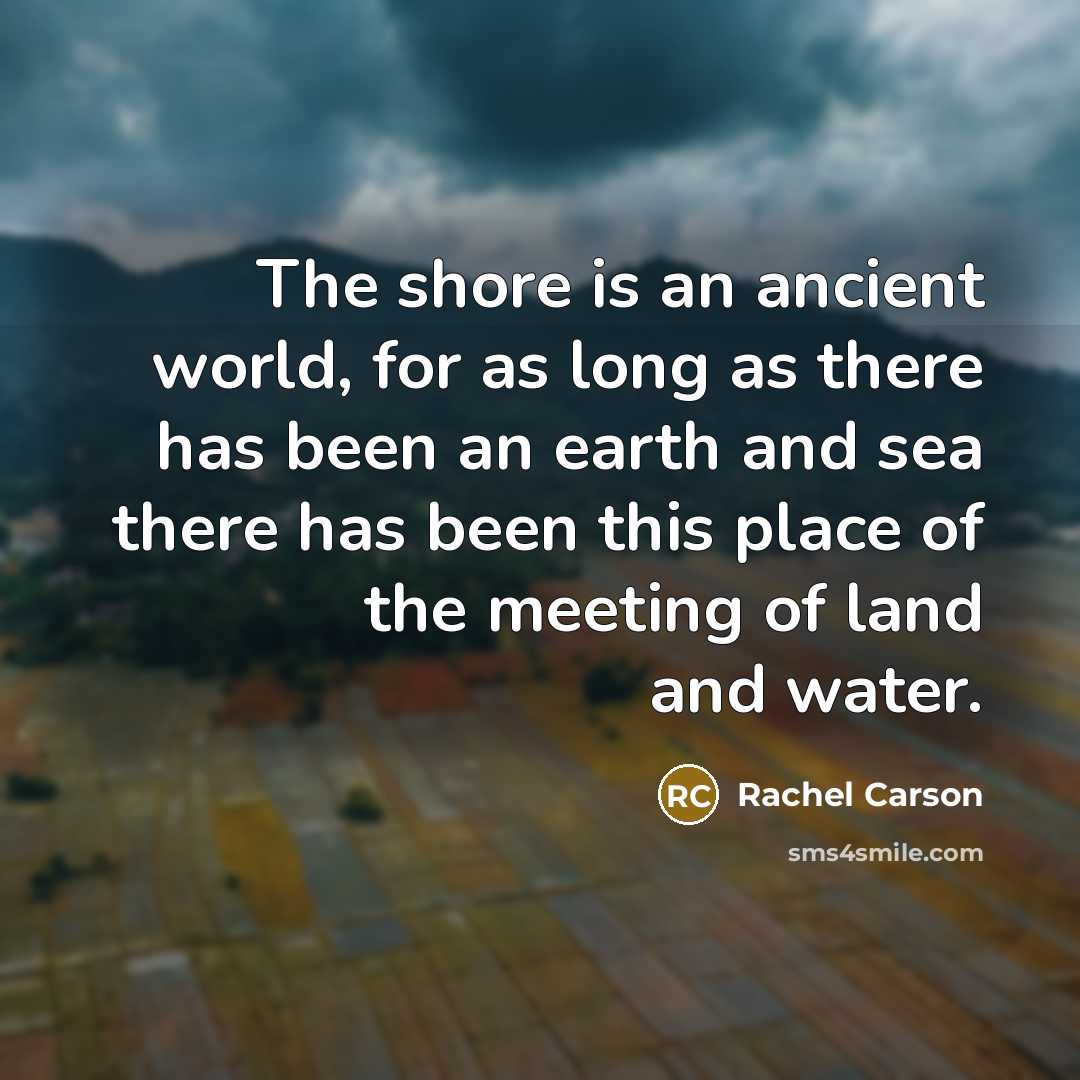 “The shore is an ancient world, for as long as…” quote by Rachel Carson