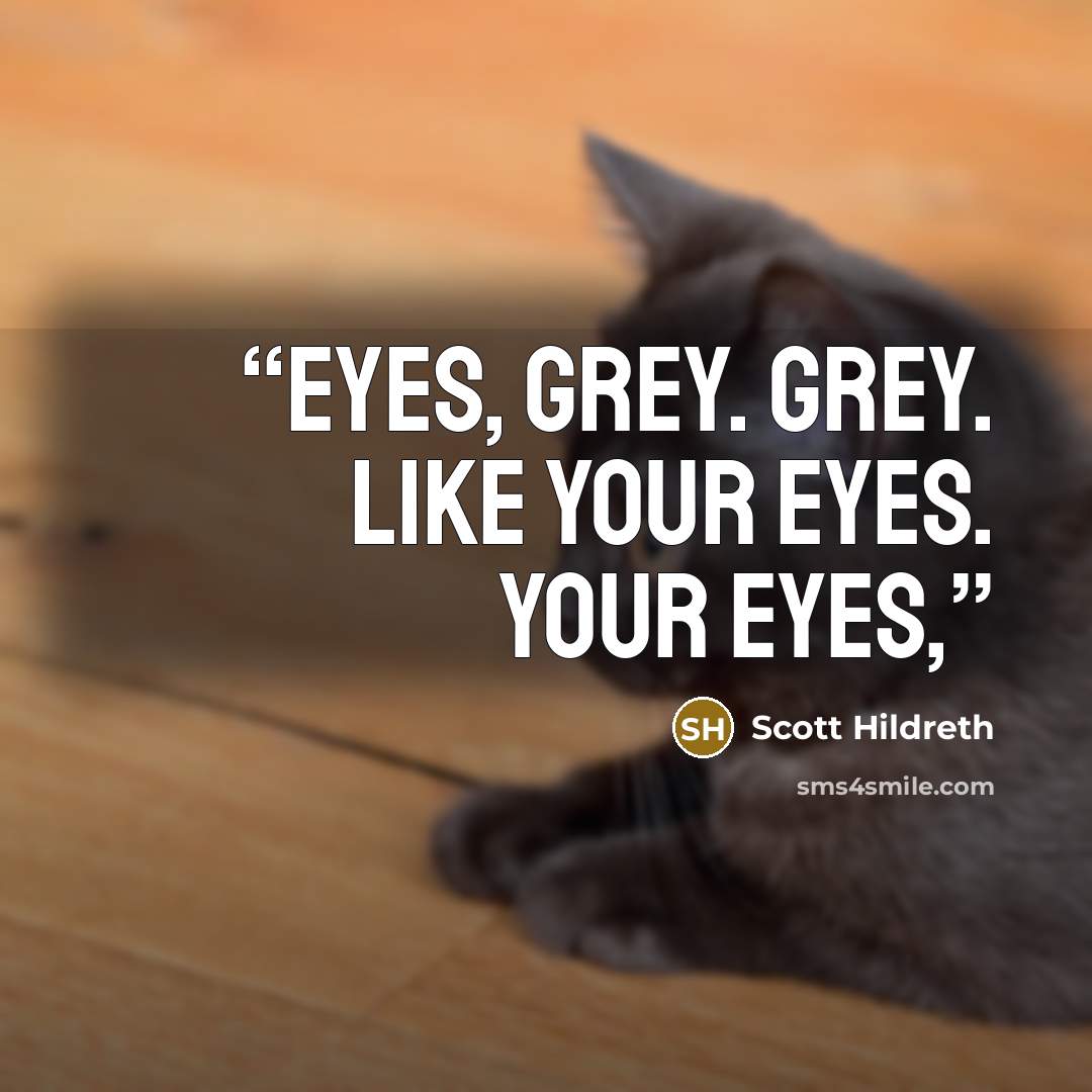 “Eyes, grey. Grey. Like your eyes. Your eyes,” quote by Scott Hildreth