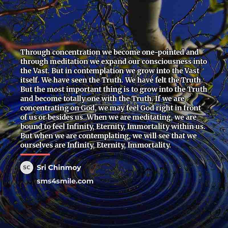 “Through concentration we become one-pointed and through meditation we expand…” quote by Sri Chinmoy