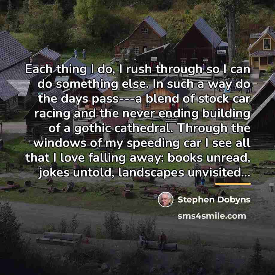“Each thing I do, I rush through so I can…” quote by Stephen Dobyns