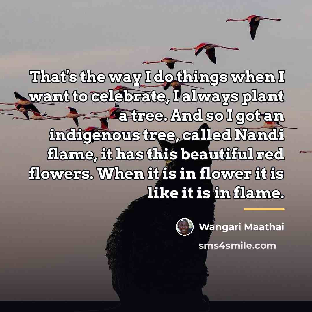 “That's the way I do things when I want to…” quote by Wangari Maathai