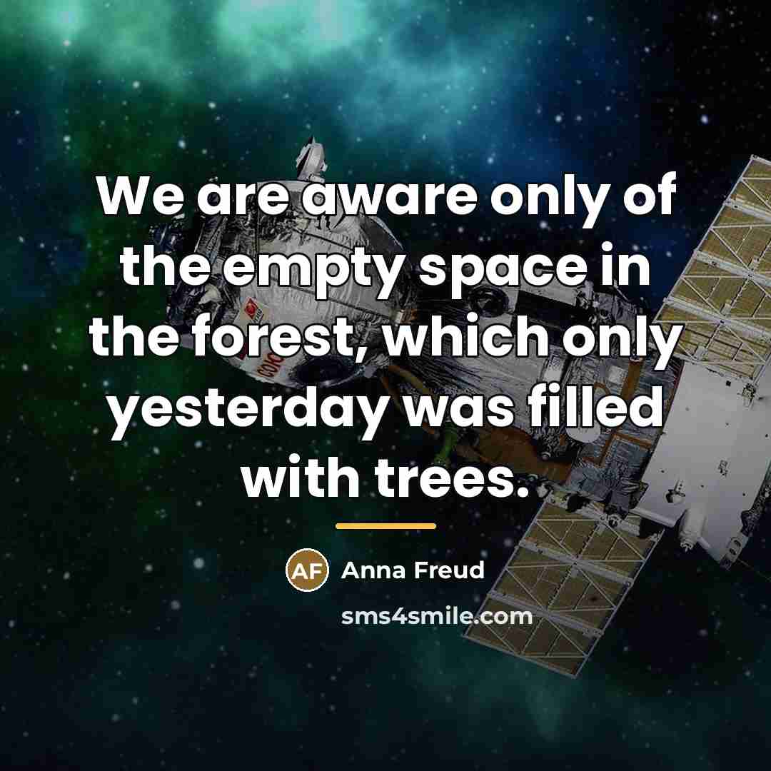 “We are aware only of the empty space in the…” quote by Anna Freud