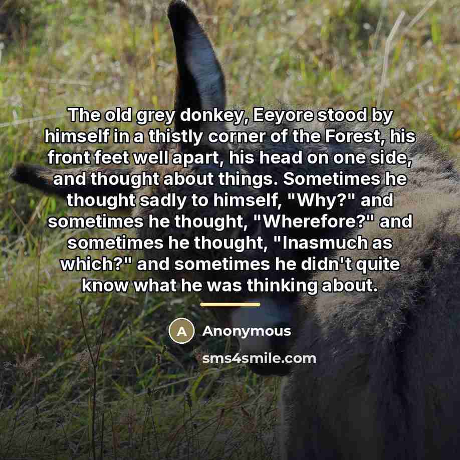 “The old grey donkey, Eeyore stood by himself in a…” quote by Anonymous