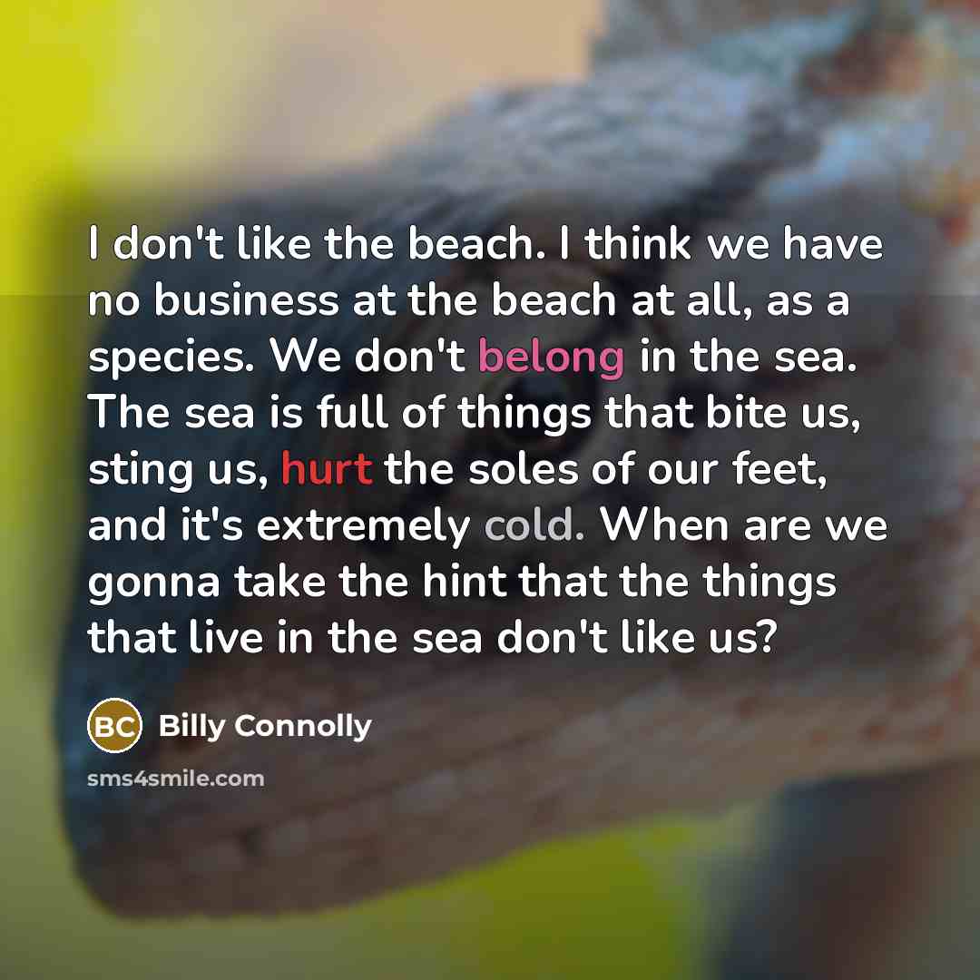 “I don't like the beach. I think we have no…” quote by Billy Connolly