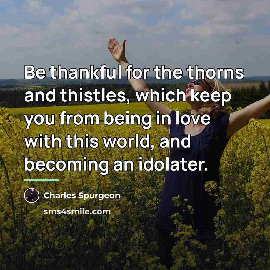 “Be thankful for the thorns and thistles, which keep you…” quote by Charles Spurgeon