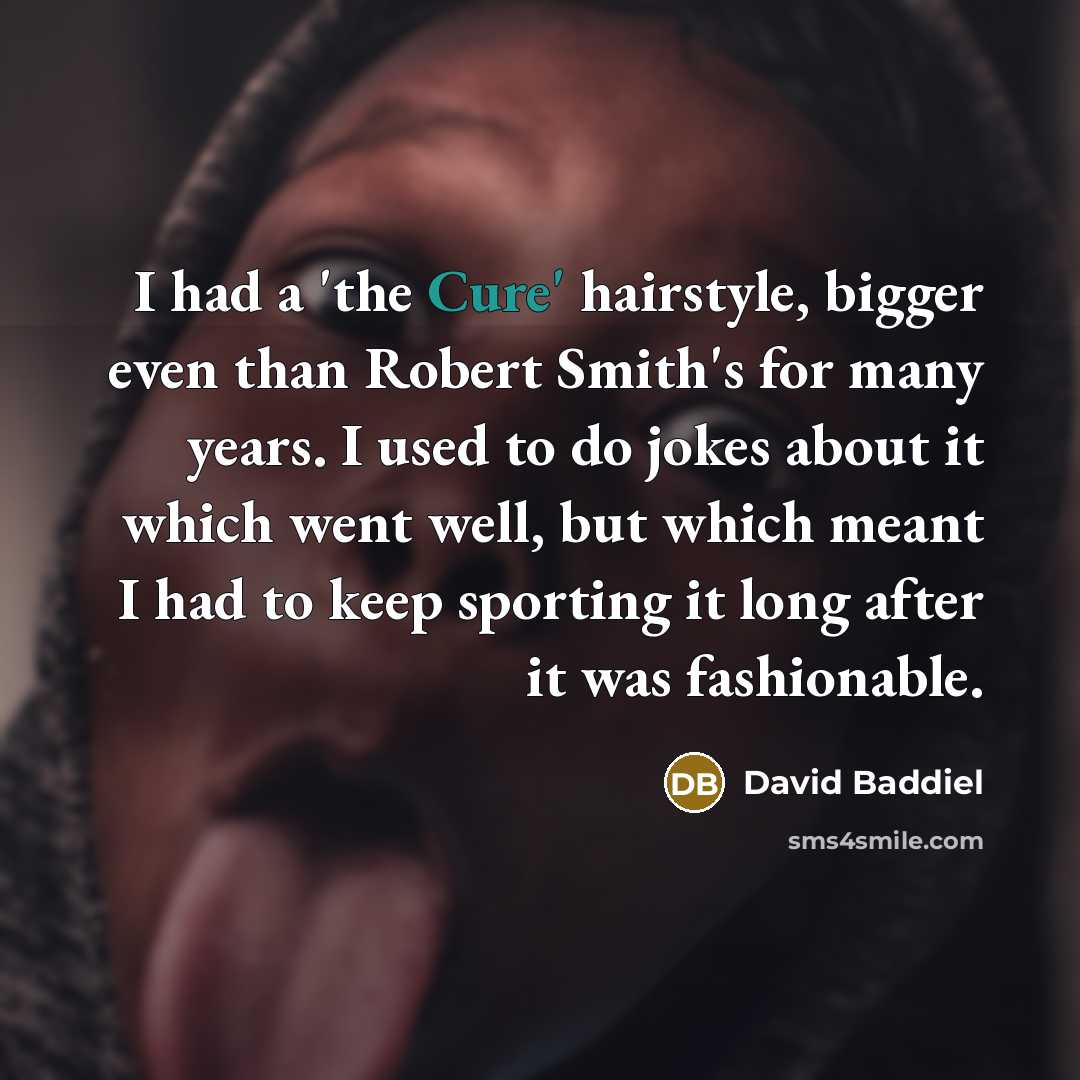 “I had a 'the Cure' hairstyle, bigger even than Robert…” quote by David Baddiel