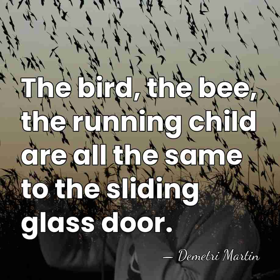 The bird, the bee, the running child are all the same to&hellip; - Demetri Martin