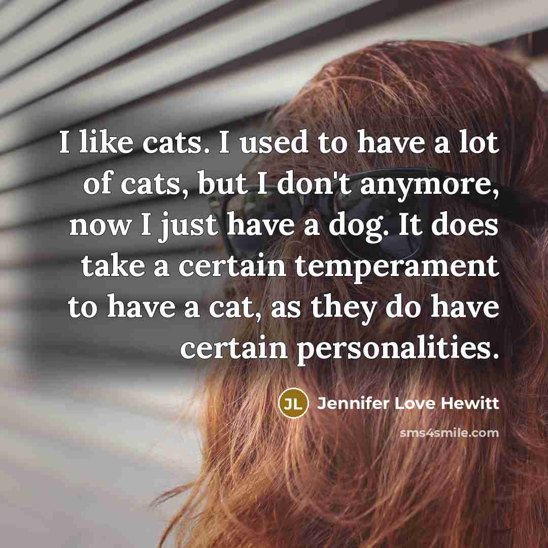 “I like cats. I used to have a lot of…” quote by Jennifer Love Hewitt