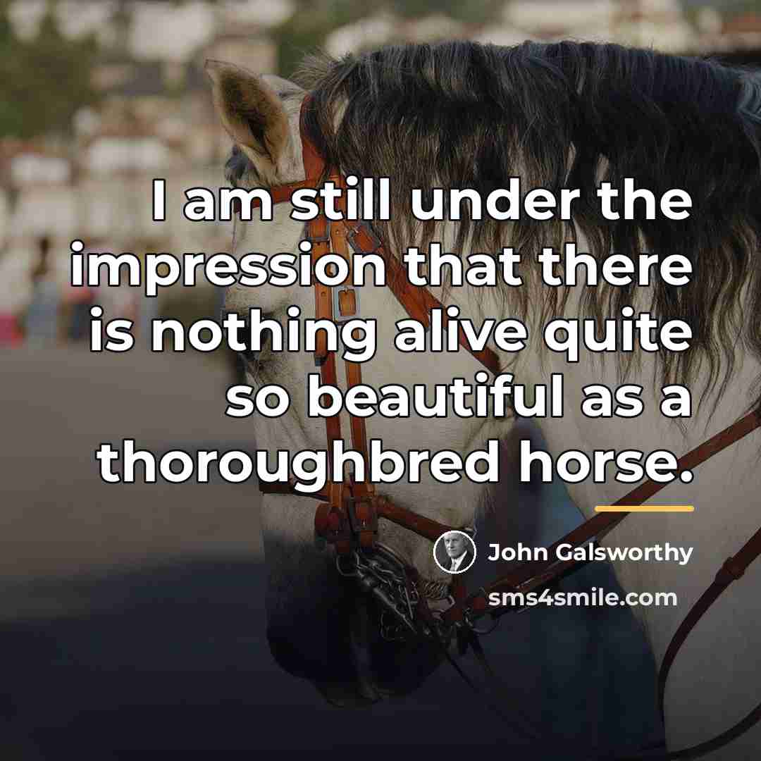 “I am still under the impression that there is nothing…” quote by John Galsworthy