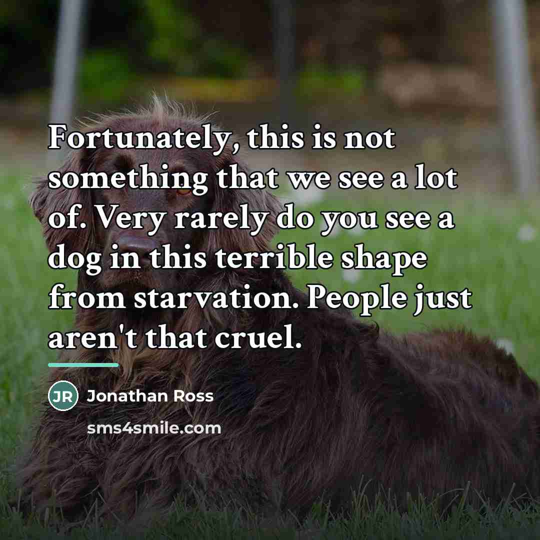 “Fortunately, this is not something that we see a lot…” quote by Jonathan Ross