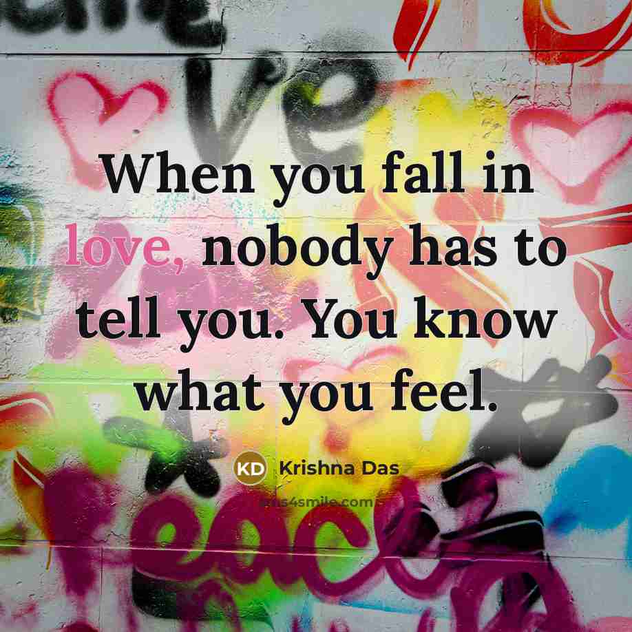 “When you fall in love, nobody has to tell you.…” quote by Krishna Das