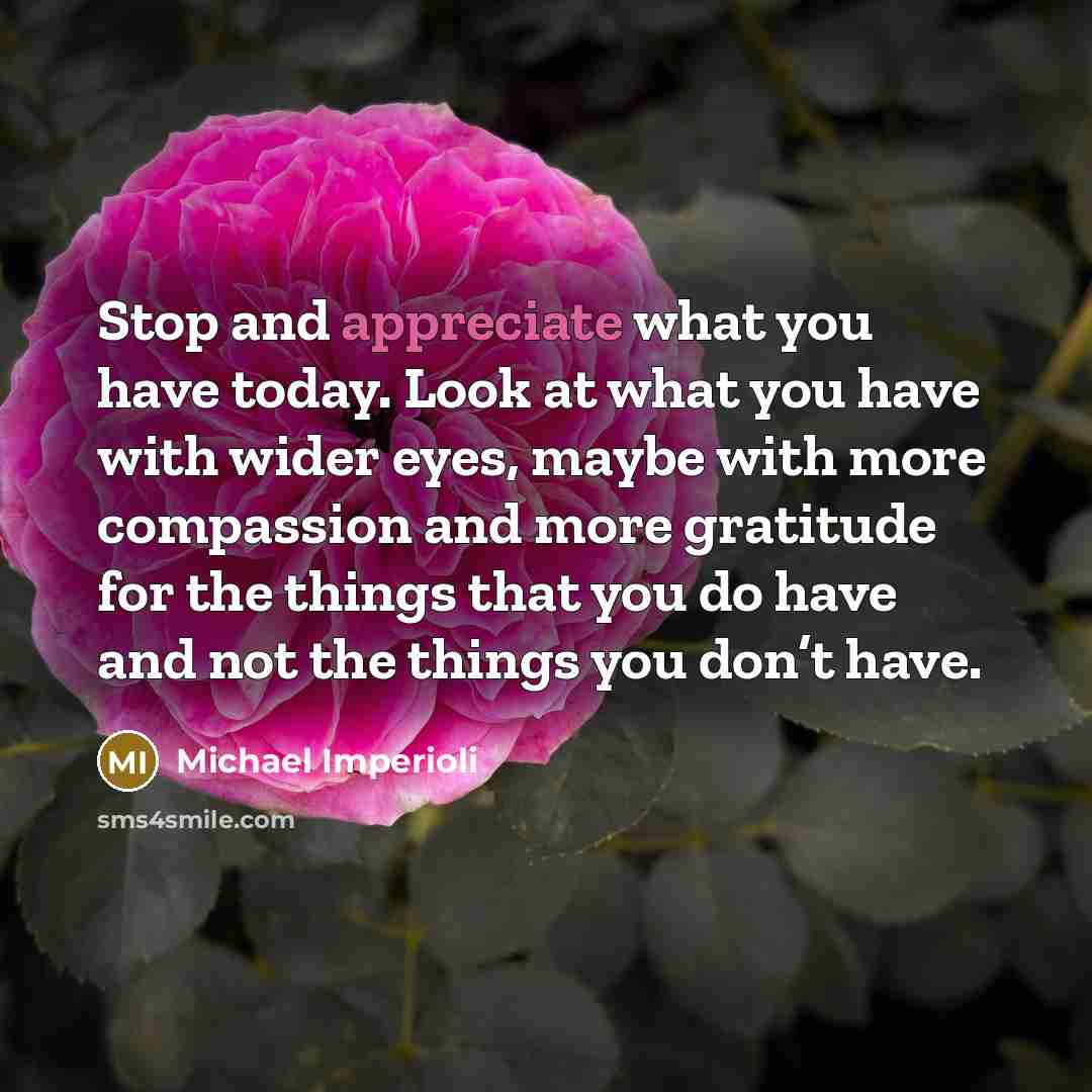 “Stop and appreciate what you have today. Look at what…” quote by Michael Imperioli