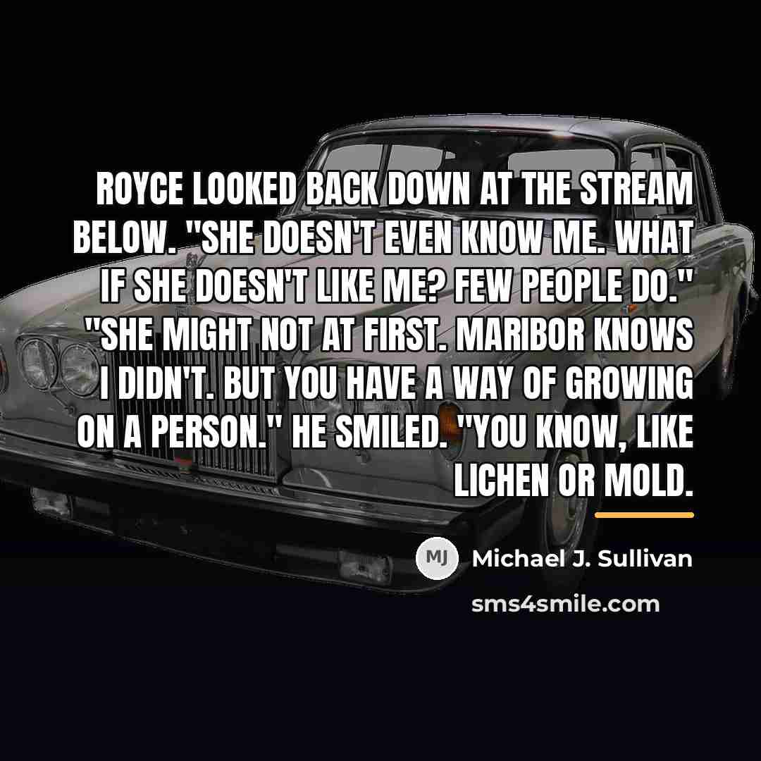 “Royce looked back down at the stream below. "She doesn't…” quote by Michael J. Sullivan