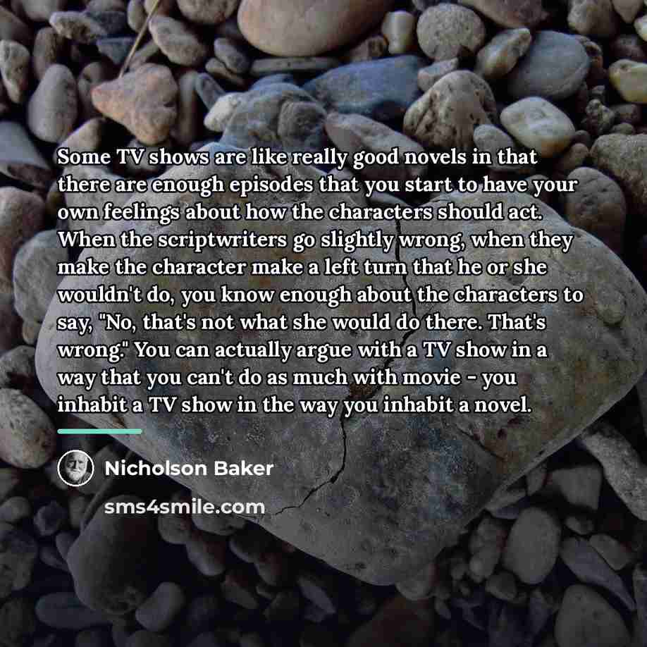 “Some TV shows are like really good novels in that…” quote by Nicholson Baker