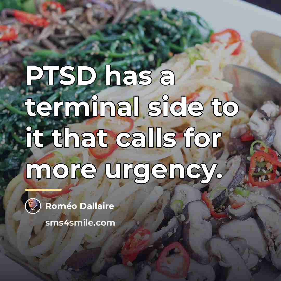 “PTSD has a terminal side to it that calls for…” quote by Romeo Dallaire