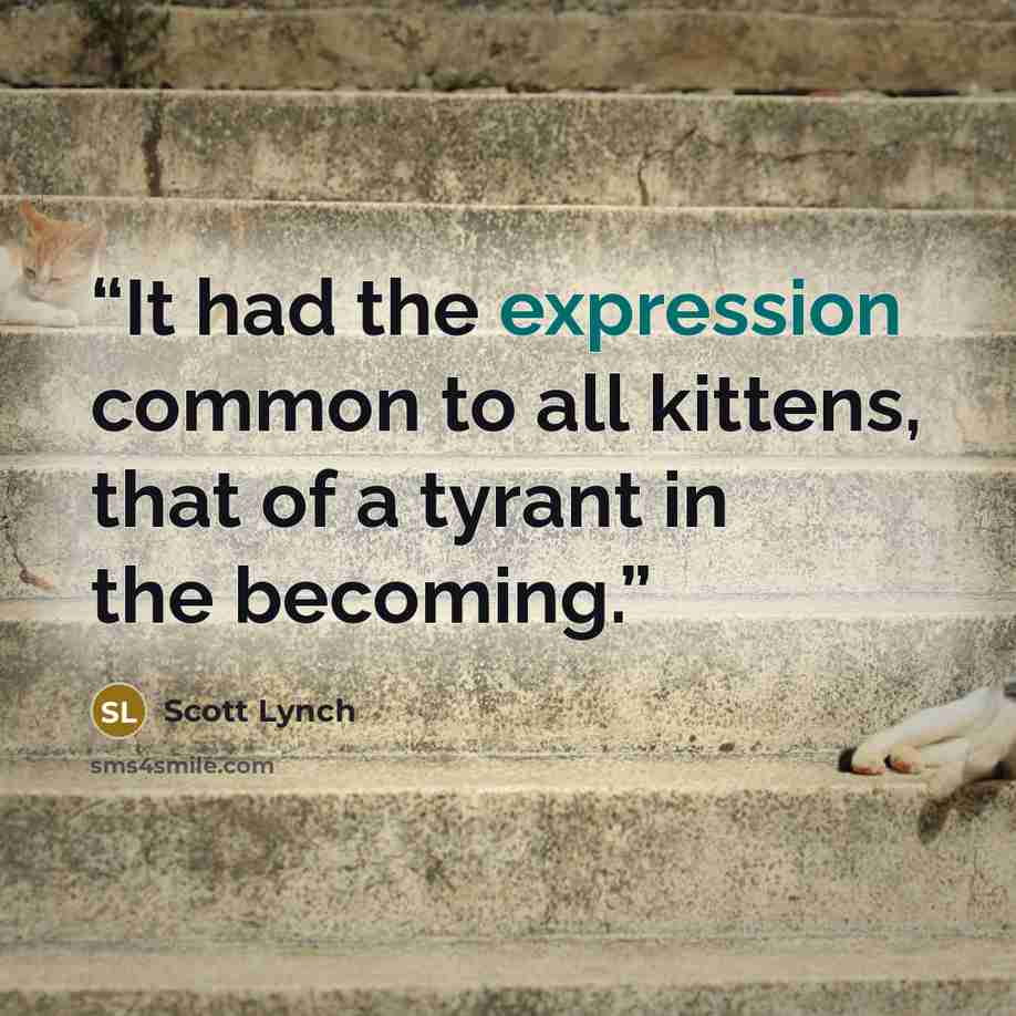 “It had the expression common to all kittens, that of a tyrant in the becoming.” quote by Scott Lynch
