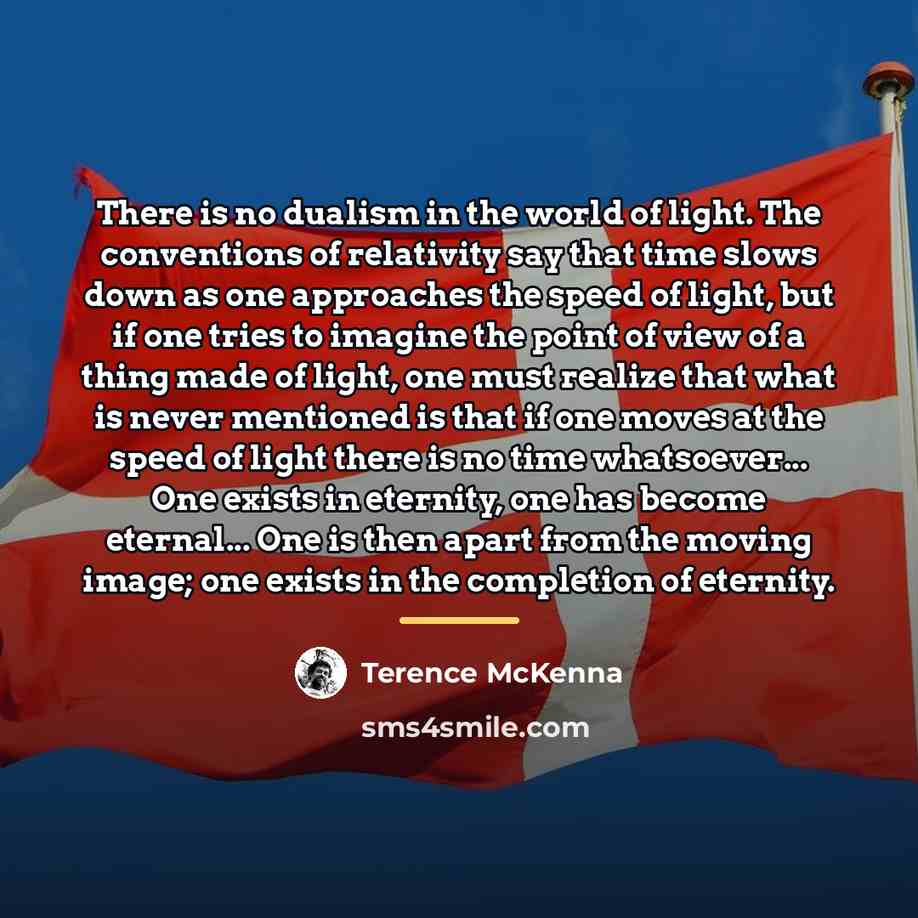 “There is no dualism in the world of light. The…” quote by Terence McKenna