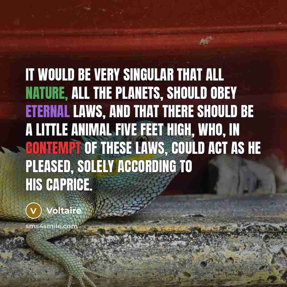 “It would be very singular that all nature, all the…” quote by Voltaire