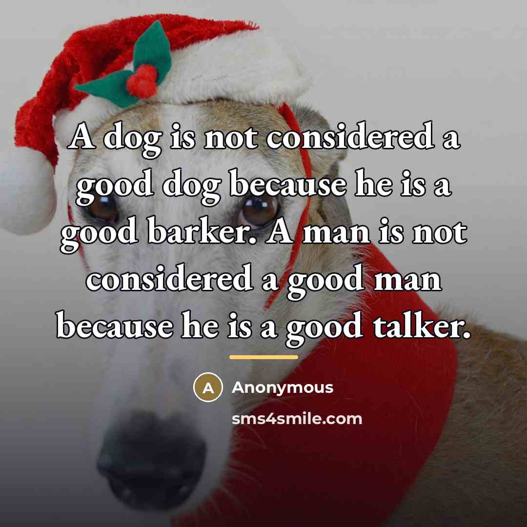 “A dog is not considered a good dog because he…” quote by Anonymous