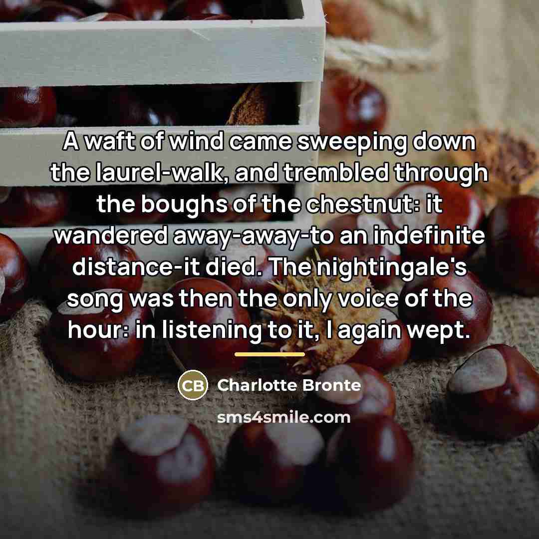 “A waft of wind came sweeping down the laurel-walk, and…” quote by Charlotte Bronte