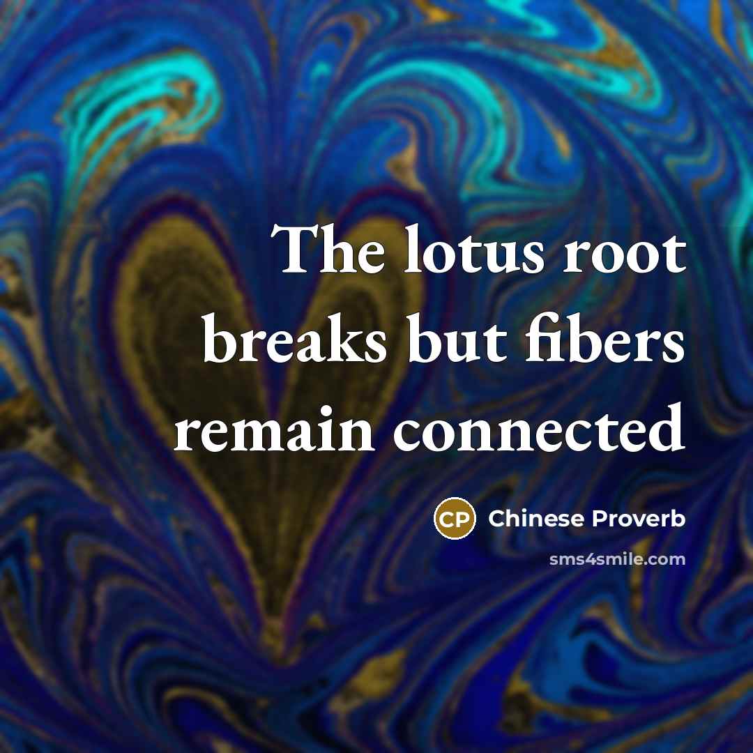 “The lotus root breaks but fibers remain connected…” quote by Chinese Proverb