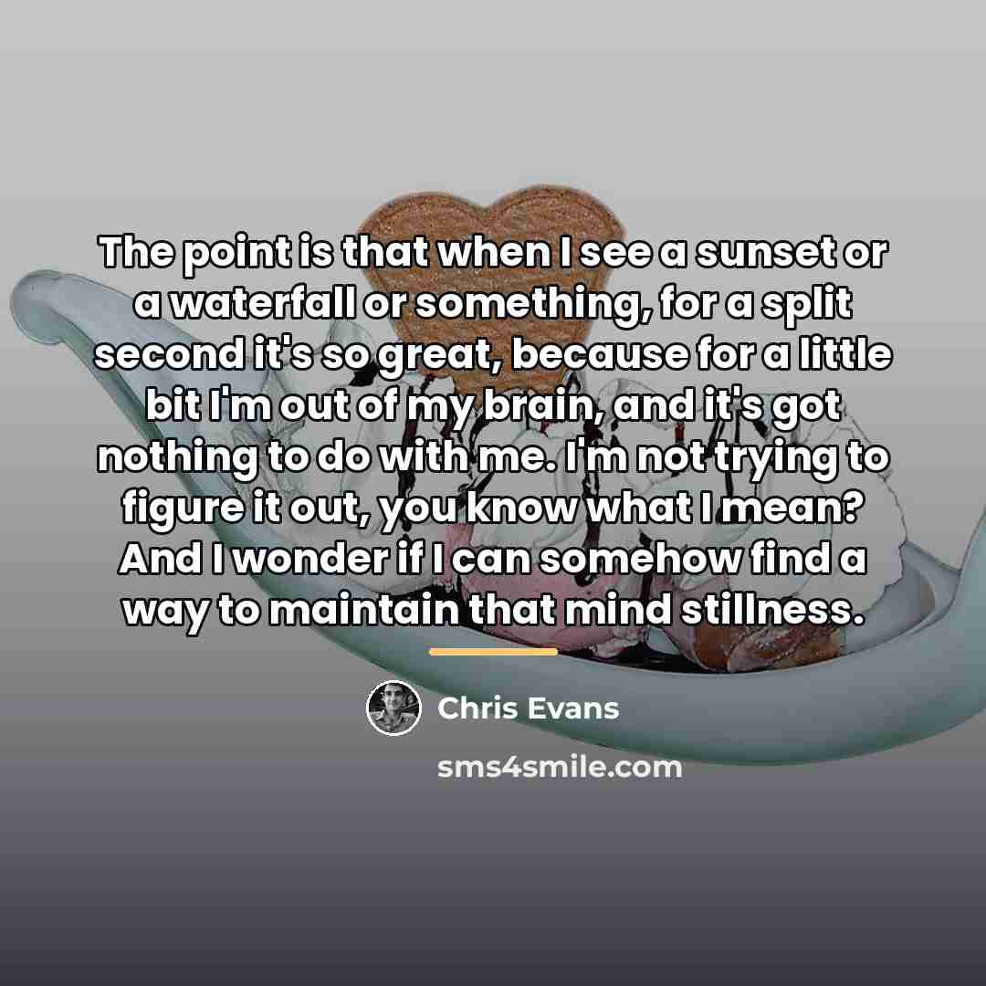 “The point is that when I see a sunset or…” quote by Chris Evans