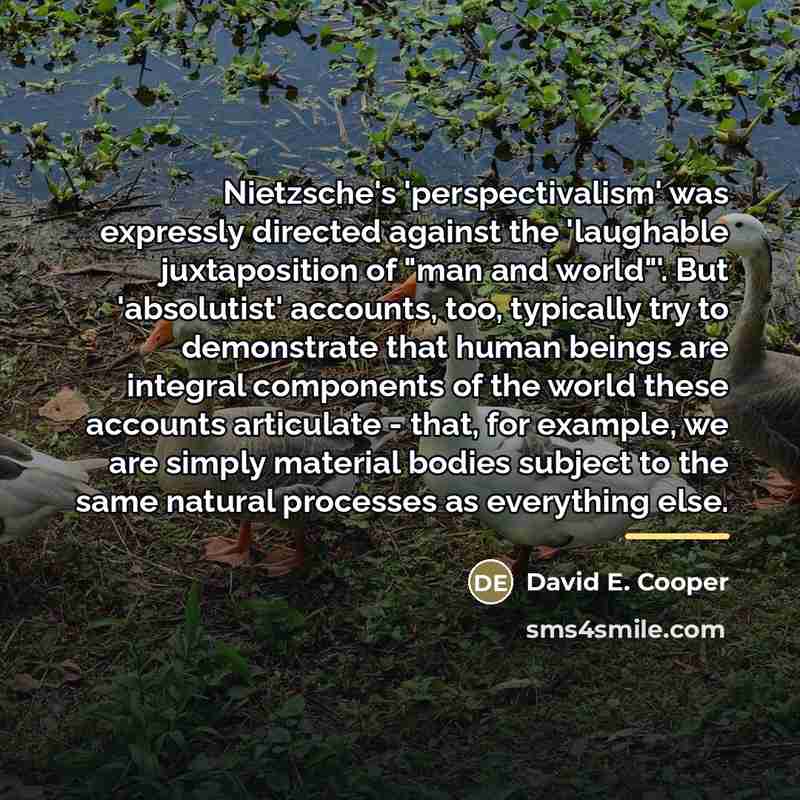 “Nietzsche's 'perspectivalism' was expressly directed against the 'laughable juxtaposition of…” quote by David E. Cooper