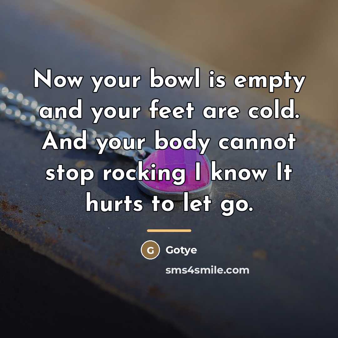 “Now your bowl is empty and your feet are cold.…” quote by Gotye