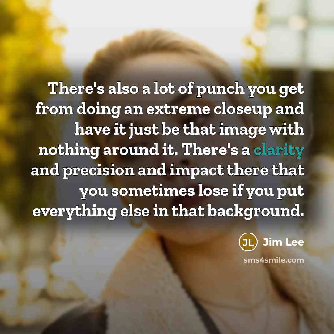 “There's also a lot of punch you get from doing…” quote by Jim Lee