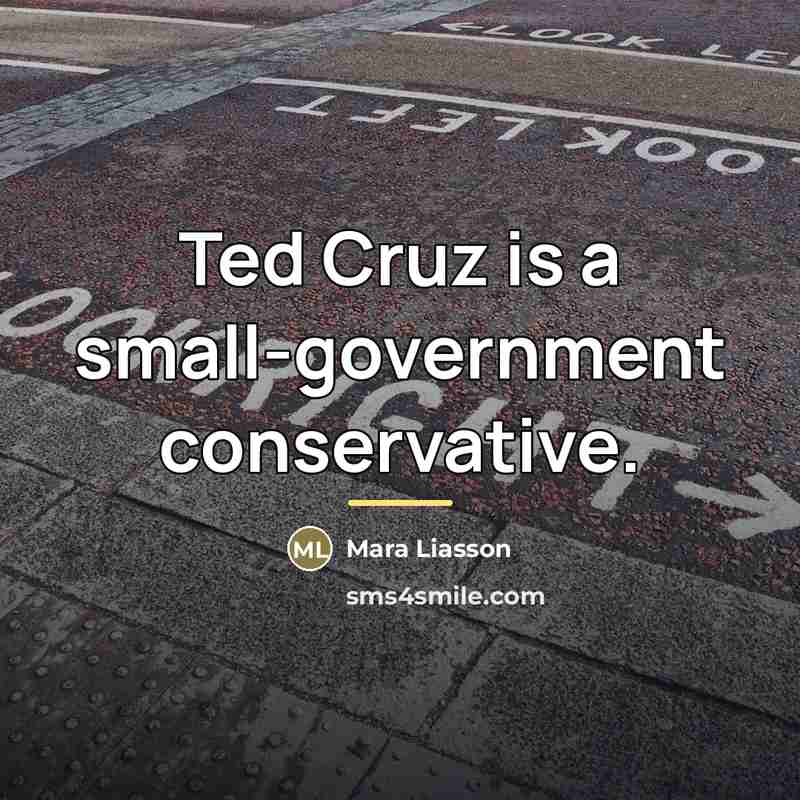 “Ted Cruz is a small-government conservative.…” quote by Mara Liasson